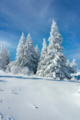 Winter landscape of Vitosha Mountain, Bulgaria