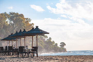 View of sandy beach by the sea or ocean with palm trees under blue sky.