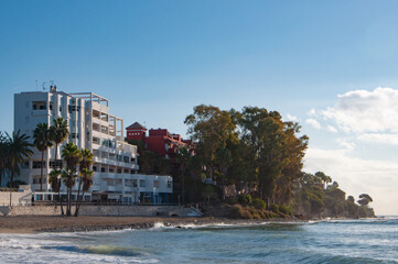 View of sandy beach by the sea or ocean with palm trees under blue sky.