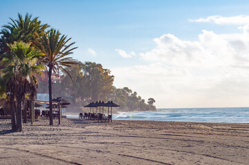 View of sandy beach by the sea or ocean with palm trees under blue sky.