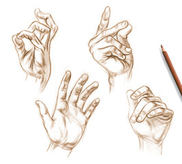 Obraz premium Sketches of human hands from nature. Drawing with pencil. Set