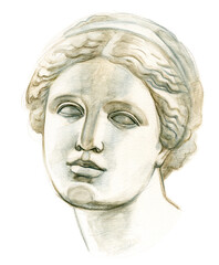 Antique plaster head Venus. Academic freehand pencil drawing