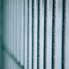 Metal fence close-up. Iron fence in winter. 