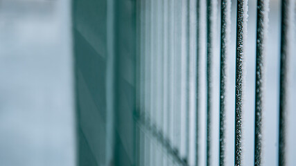 Obraz premium Background. Metal fence in winter. Close-up. The iron fence is frozen.