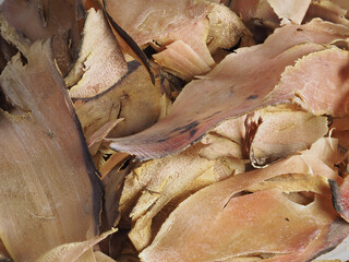 Tokyo,Japan - January 2, 2022: Closeup of Sliced dried bonito or bonito flakes or katsuobushi
