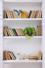 Collection of books and decor elements on shelves indoors