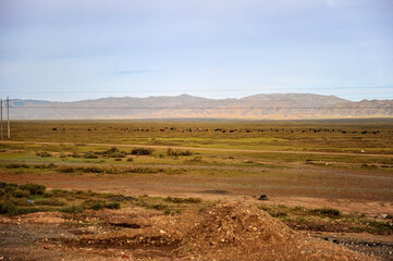 The boundless natural scenery of the Gobi Desert grassland and pasture in Xinjiang, China