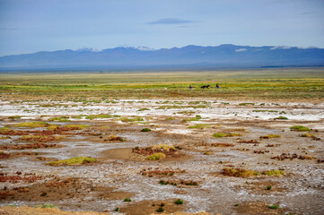 The boundless natural scenery of the Gobi Desert grassland and pasture in Xinjiang, China