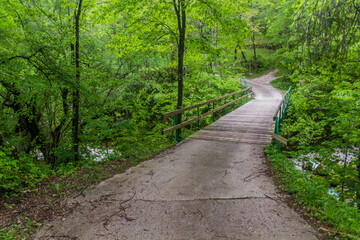 Bridge over Gljun stream near Bovec village, Slovenia