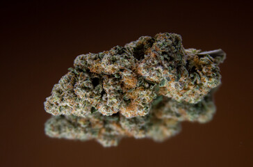 buds for life