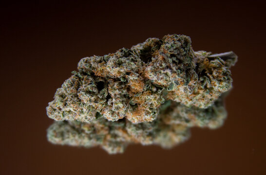 buds for life