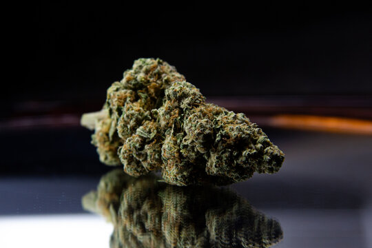 buds for life