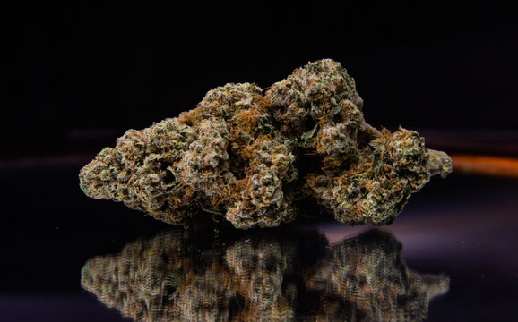 buds for life
