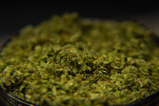 buds for life