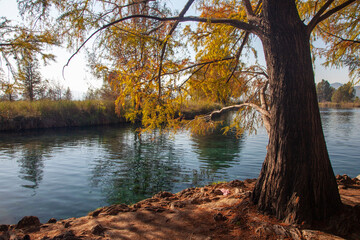 Media Luna lagoon in Rioverde, San Luis Potosi, Mexico