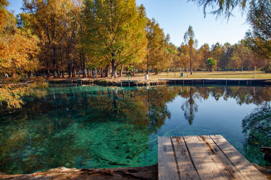Media Luna lagoon in Rioverde, San Luis Potosi, Mexico