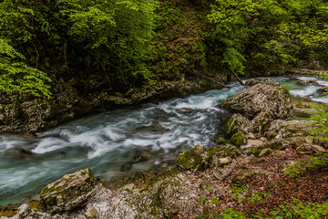 Fototapeta na wymiar River Radovna in Vintgar gorge near Bled, Slovenia