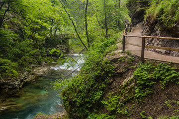 Fototapeta premium Vintgar gorge near Bled, Slovenia