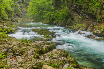 River Radovna in Vintgar gorge near Bled, Slovenia