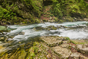 Fototapeta na wymiar River Radovna in Vintgar gorge near Bled, Slovenia