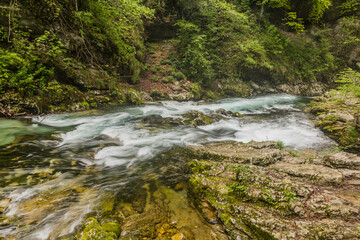 River Radovna in Vintgar gorge near Bled, Slovenia