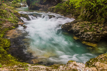 Fototapeta premium Vintgar gorge near Bled, Slovenia
