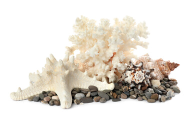 Obraz na płótnie Canvas Beautiful exotic sea coral, shells and pebbles on white background