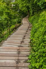 Fototapeta premium Path to Ljubljana castle, Slovenia