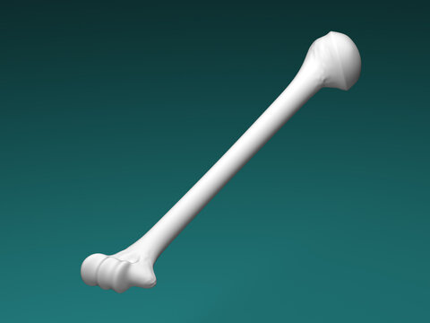 The humerus isolated on green background. 3D Illustration.