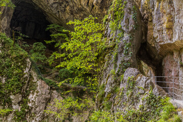 Rocks near Skocjanske jame (Skocjan Caves), Slovenia