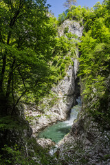 Fototapeta na wymiar Deep gorge near Skocjanske jame (Skocjan Caves), Slovenia