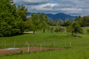 Fototapeta na wymiar Landscape near Postojna town, Slovenia