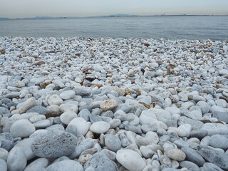 マーブルビーチと白い石