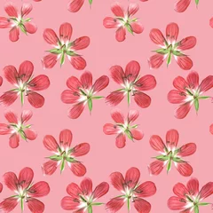 Acrylglas Duschewand mit Foto Tropische Pflanzen Forest geranium. Illustration, texture of flowers. Seamless pattern for continuous replication. Floral background, photo collage for textile, cotton fabric. For wallpaper, covers, print.