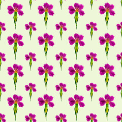 Carnation. Illustration, texture of flowers. Seamless pattern for continuous replication. Floral background, photo collage for textile, cotton fabric. For wallpaper, covers, print.