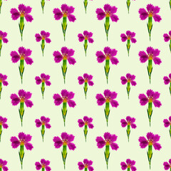 Carnation. Illustration, texture of flowers. Seamless pattern for continuous replication. Floral background, photo collage for textile, cotton fabric. For wallpaper, covers, print.