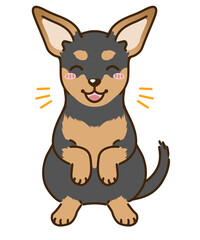 喜ぶミニチュアピンシャー（ブラックタン）