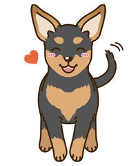 なつくミニチュアピンシャー（ブラックタン）