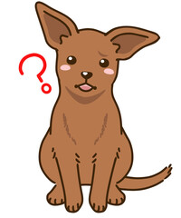 疑問に思うミニチュアピンシャー（レッド）