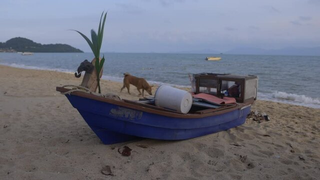 Beach and small open fishing boat with a stray dog circeling around in 4 k Res - Koh Samui Island - Thailand