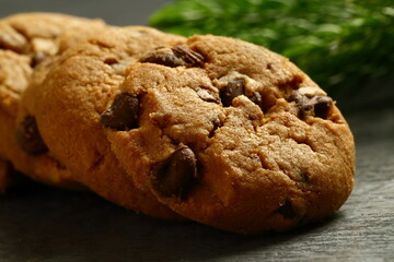 Crispy baked chocolate chip cookies. sugar free diet snack foods.