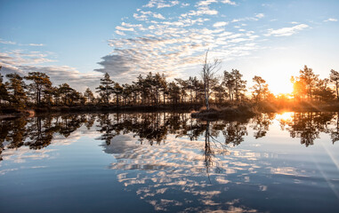 gorgeous sunrise on a bog lake in estonia