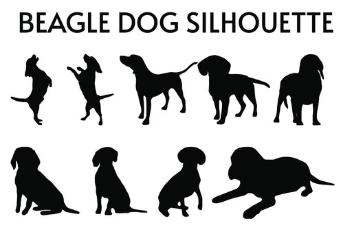 9 Set of Beagle Dog Silhouettes vector, isolated black silhouette of a dog, collection, Animal Silhouette, Dog breeds vector silhouettes set