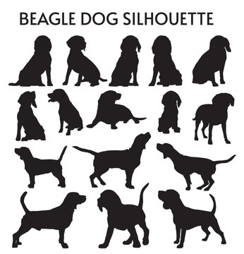 16 Set of Beagle Dog Silhouettes vector, isolated black silhouette of a dog, collection, Animal Silhouette, Dog breeds vector silhouettes set