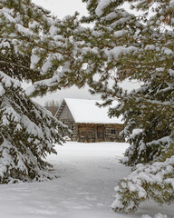 An old house in the mountains surrounded by pine and spruce trees covered in snow