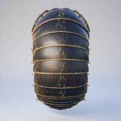3d Rendering of Top Back side of Roly Poly Isopod Pill Bug Close up
