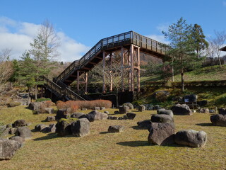 晴れた冬の日の公園の風景