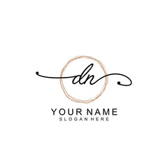 DN initial Signature logo template vector