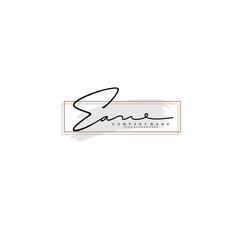 EA initial Signature logo template vector