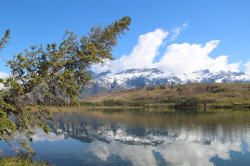 Fototapeta na wymiar reflection of trees in the lake, Jasper National Park, Alberta